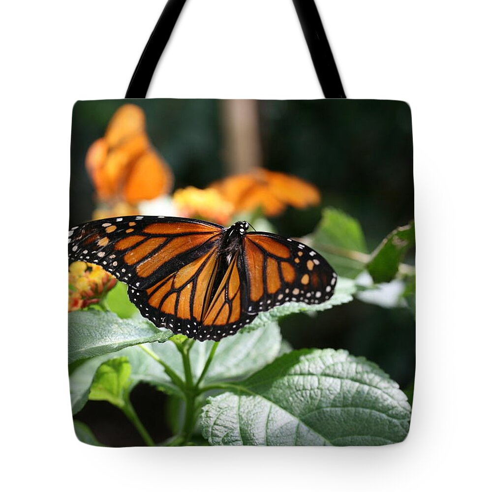 Butterfly Tote Bag featuring the photograph Butterfly #4 by MGhany