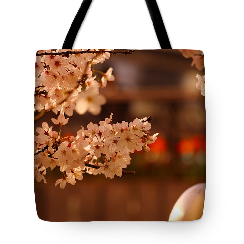  Tote Bag featuring the photograph Cherryblossoms/fukuoka,japan #4 by Tamkats Ry
