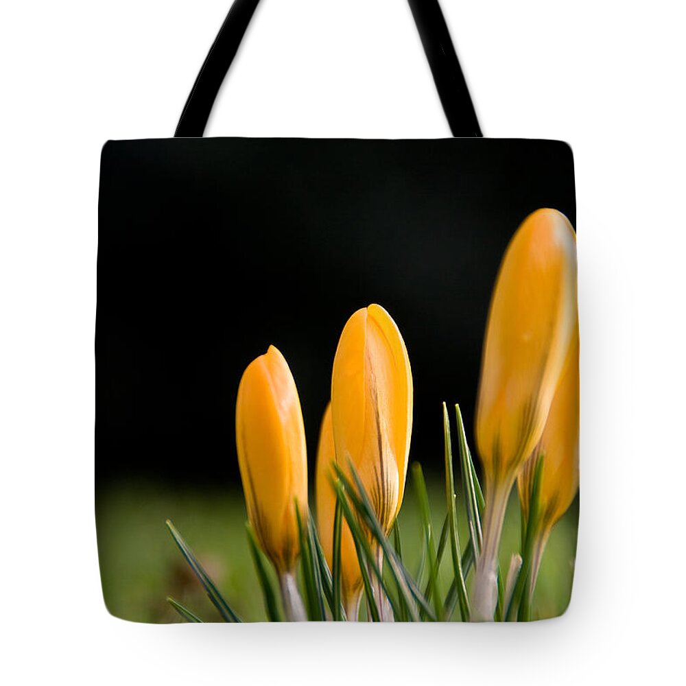 Crocus Tote Bag featuring the digital art Crocus #4 by Super Lovely