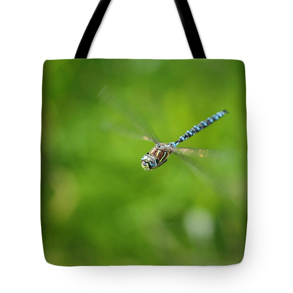Dragonfly Tote Bag featuring the photograph Emperor Dragonfly by Rick Deacon