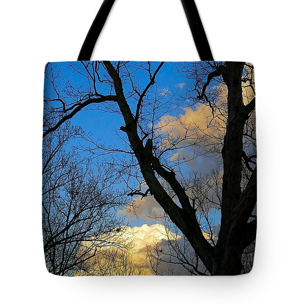 Sunset Tote Bag featuring the photograph February Sunset #4 by Betty Buller Whitehead