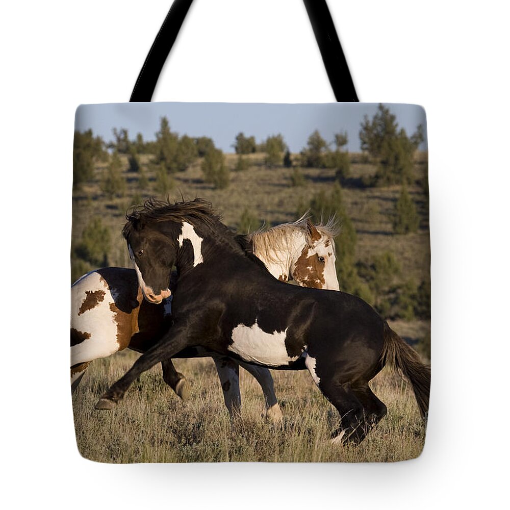 Horse Tote Bag featuring the photograph Fighting Stallions #4 by Jean-Louis Klein & Marie-Luce Hubert