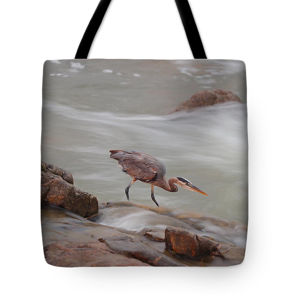 James Smullins Tote Bag featuring the photograph Great blue heron #5 by James Smullins