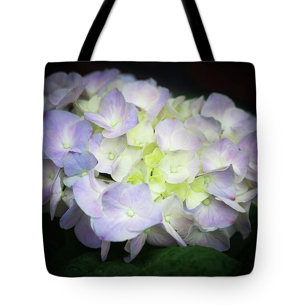 Hydrangea Tote Bag featuring the photograph Hydrangea #4 by Cathy Donohoue