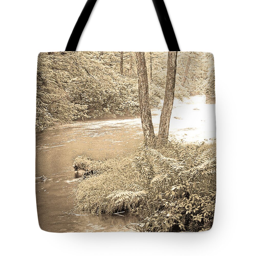Mud Run Tote Bag featuring the photograph Mud Run Pocono Mountain Stream Pennsylvania #4 by A Macarthur Gurmankin