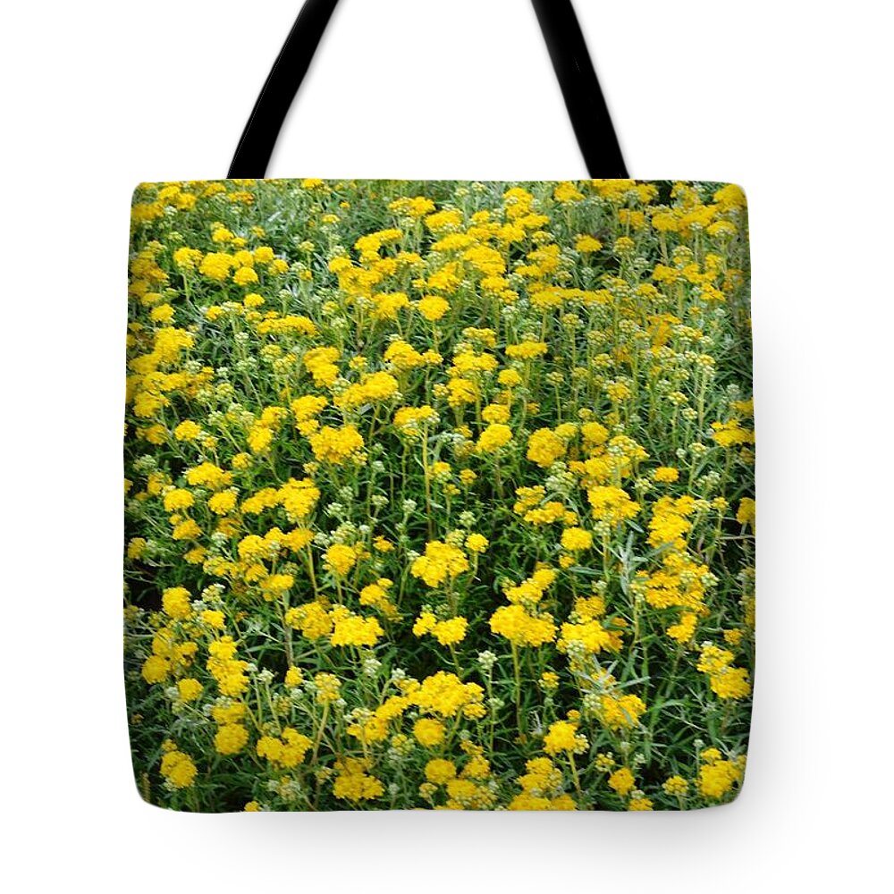 Landscape Tote Bag featuring the photograph Pretty In Yellow #4 by Marian Jenkins