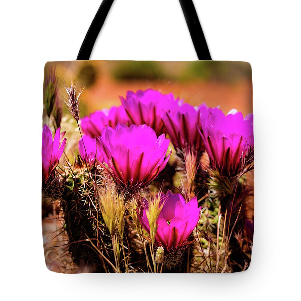 Arizona Tote Bag featuring the photograph Sedona Cactus Flower by Raul Rodriguez