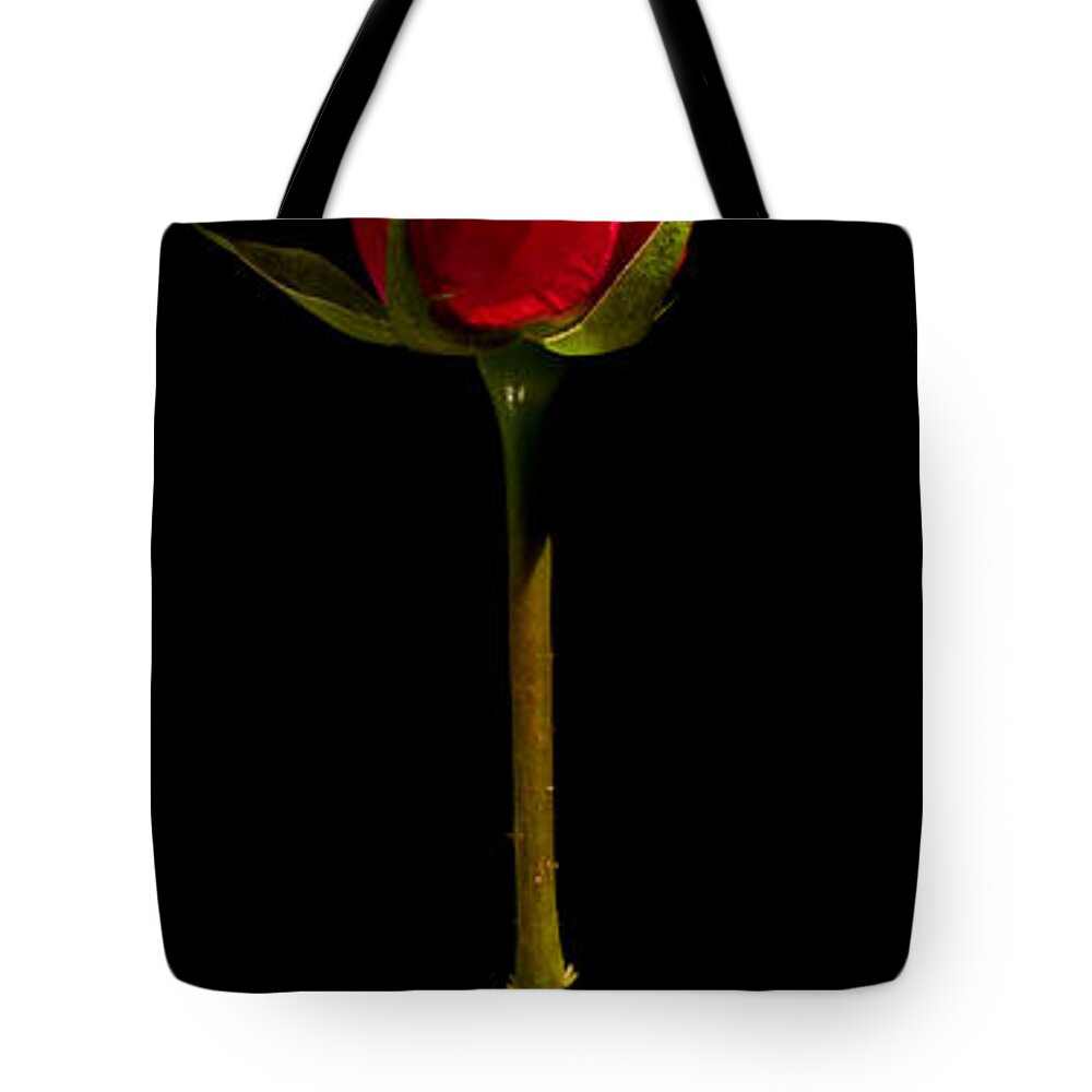 Scent Tote Bag featuring the photograph Single Rose #4 by Avril Christophe