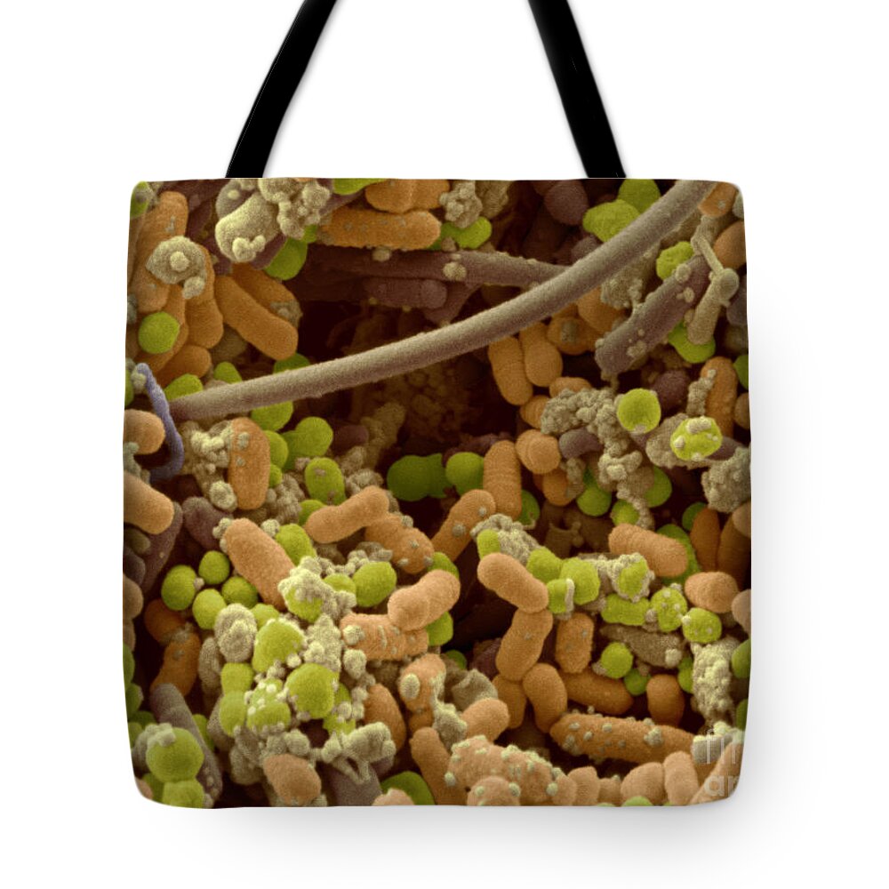 Cocci Tote Bag featuring the photograph Streptococcus Pyogenes #4 by Scimat