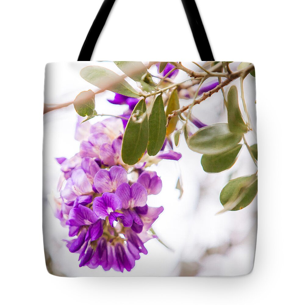Country Tote Bag featuring the photograph Study in Purple and Pink 2 by Melinda Ledsome