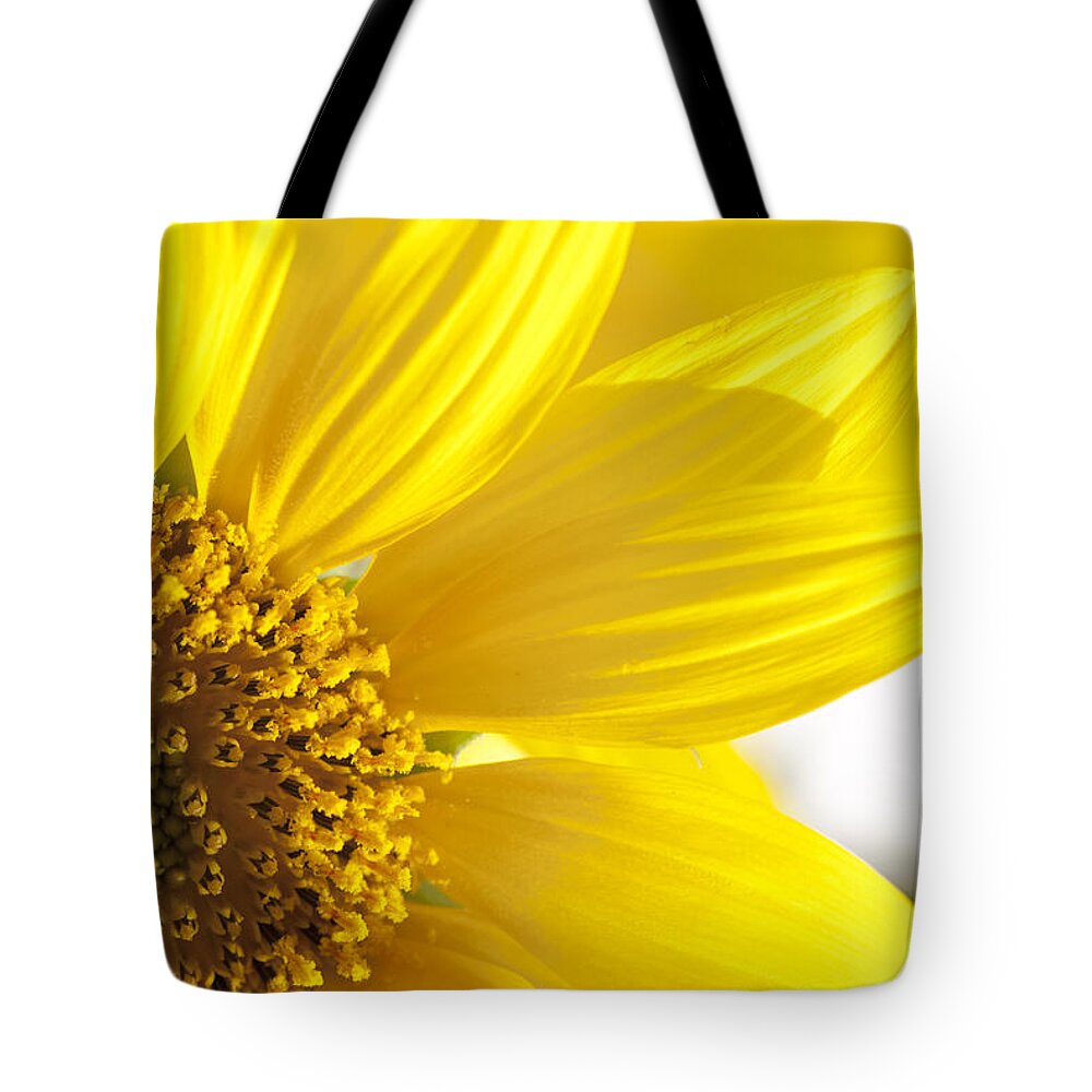Sunflower Tote Bag featuring the photograph Sunflower #4 by Olga Streikmane