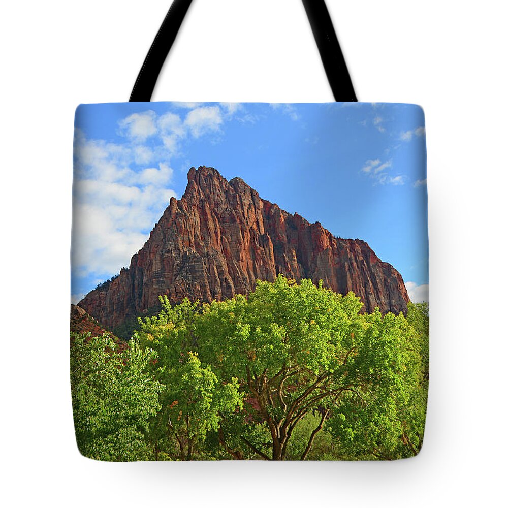 The Watchman Tote Bag featuring the photograph The Watchman #4 by Raymond Salani III