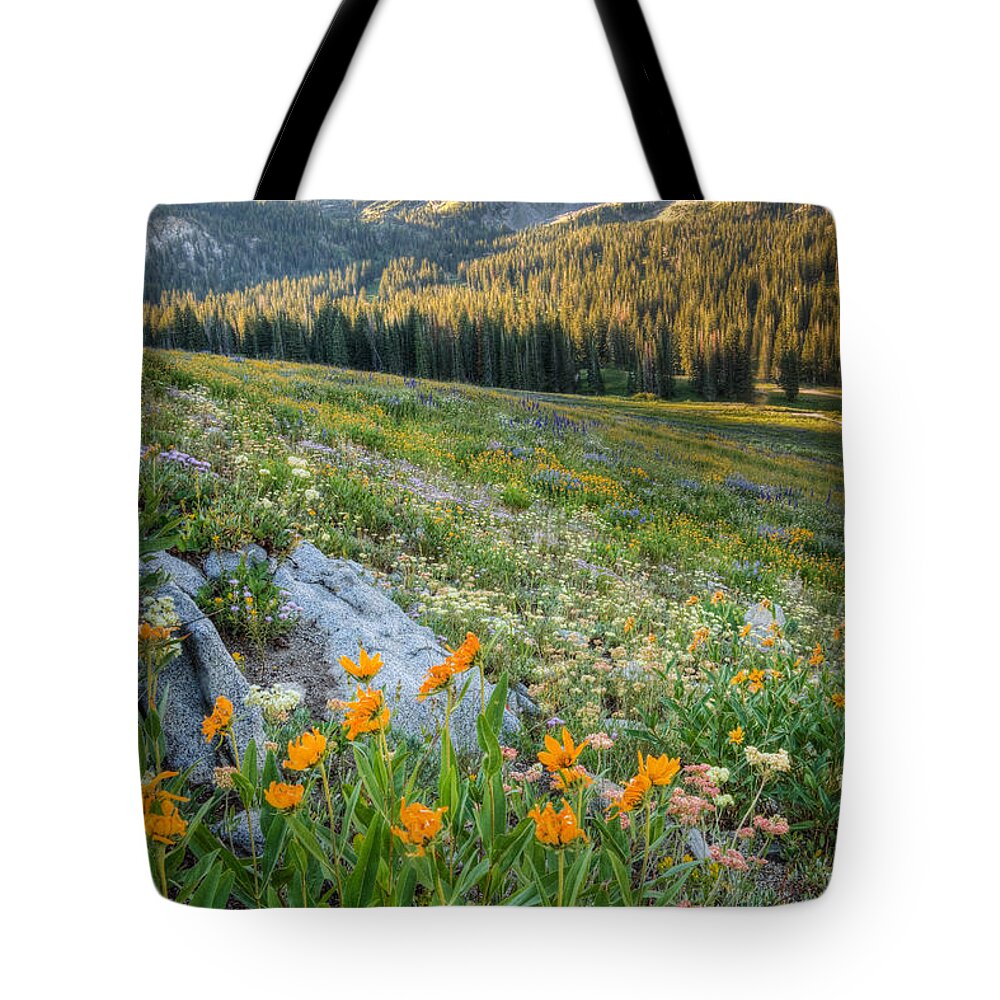 Wasatch Mountains Tote Bag featuring the photograph Wasatch Mountains #4 by Douglas Pulsipher