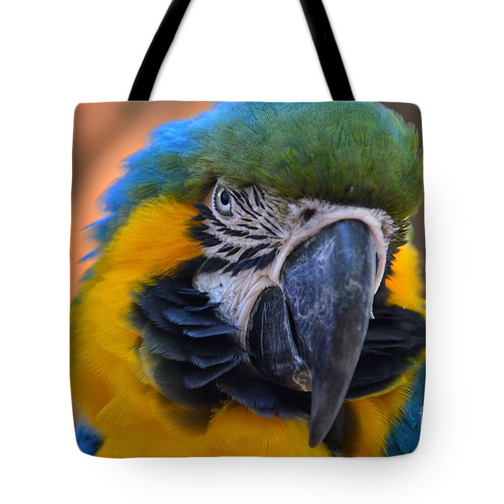 Blue And Gold Macaw Tote Bag featuring the photograph 40- Blue And Gold Macaw by Joseph Keane