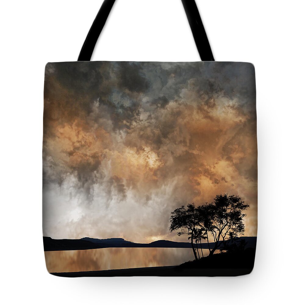 Trees Tote Bag featuring the photograph 4056 by Peter Holme III