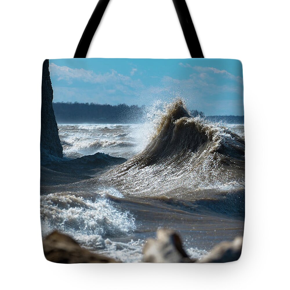 Lake Tote Bag featuring the photograph Lake Erie Waves #41 by Dave Niedbala