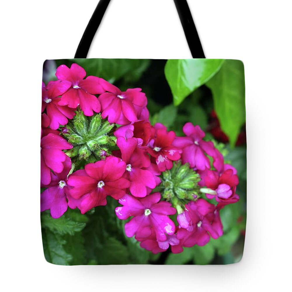 Flower Tote Bag featuring the photograph Flower #42 by Jackie Russo