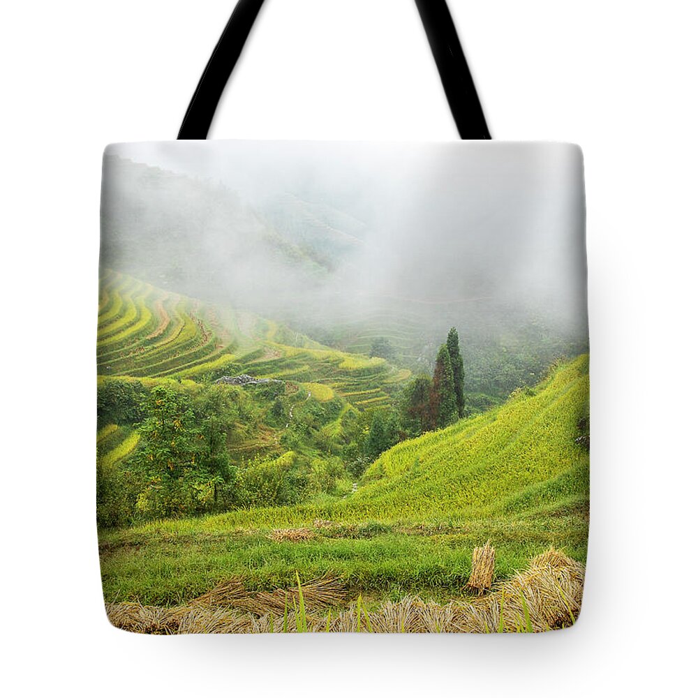 Terrace Tote Bag featuring the photograph Terrace fields scenery in autumn #42 by Carl Ning