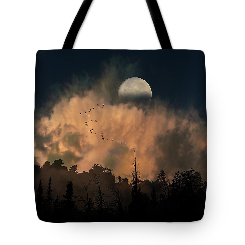 Trees Tote Bag featuring the photograph 4234 by Peter Holme III