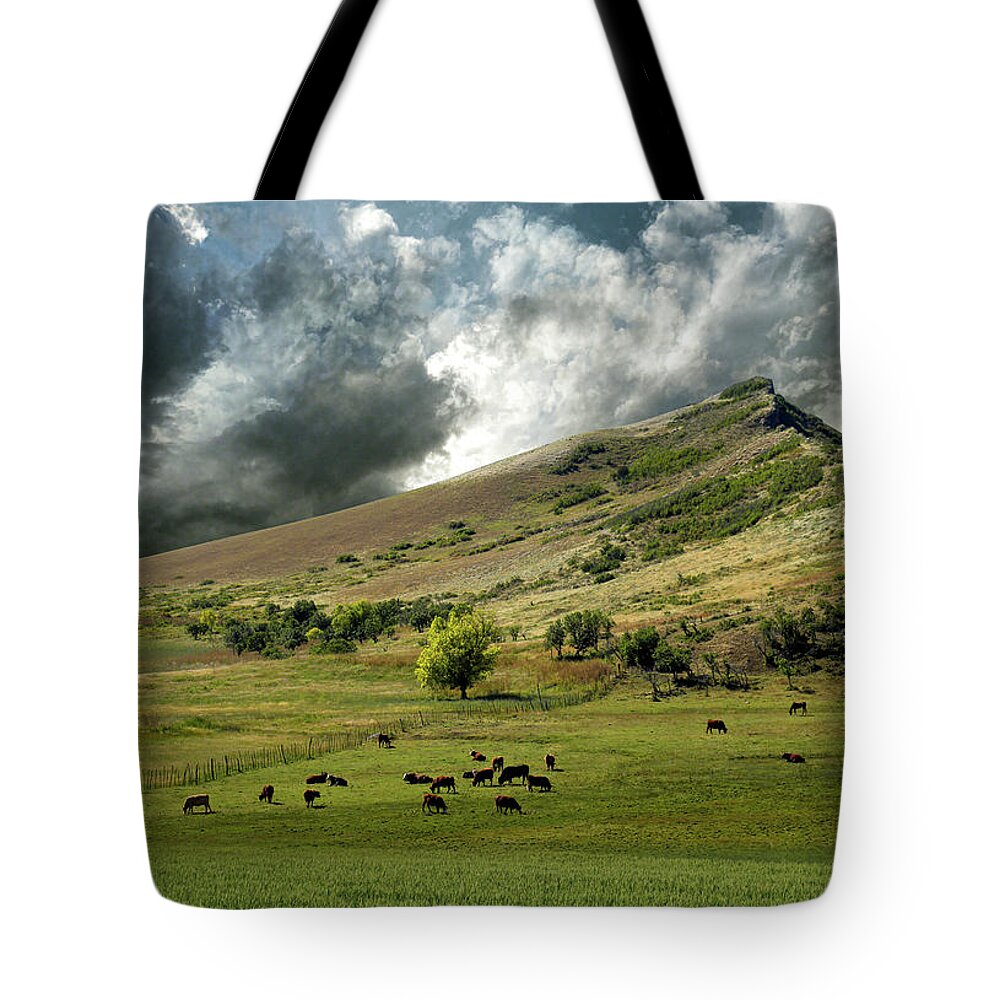Mountains Tote Bag featuring the photograph 4235 by Peter Holme III