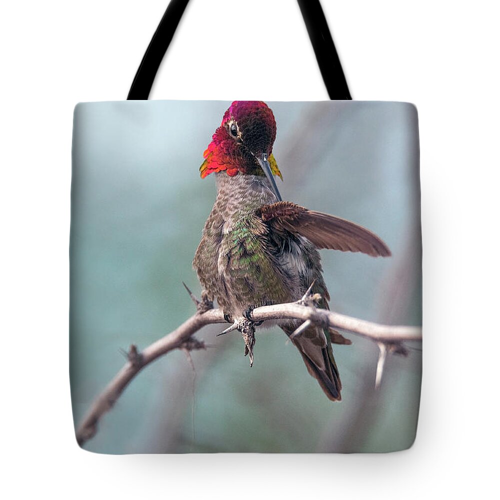 Hummingbird Tote Bag featuring the photograph Anna's Hummingbird #6 by Tam Ryan
