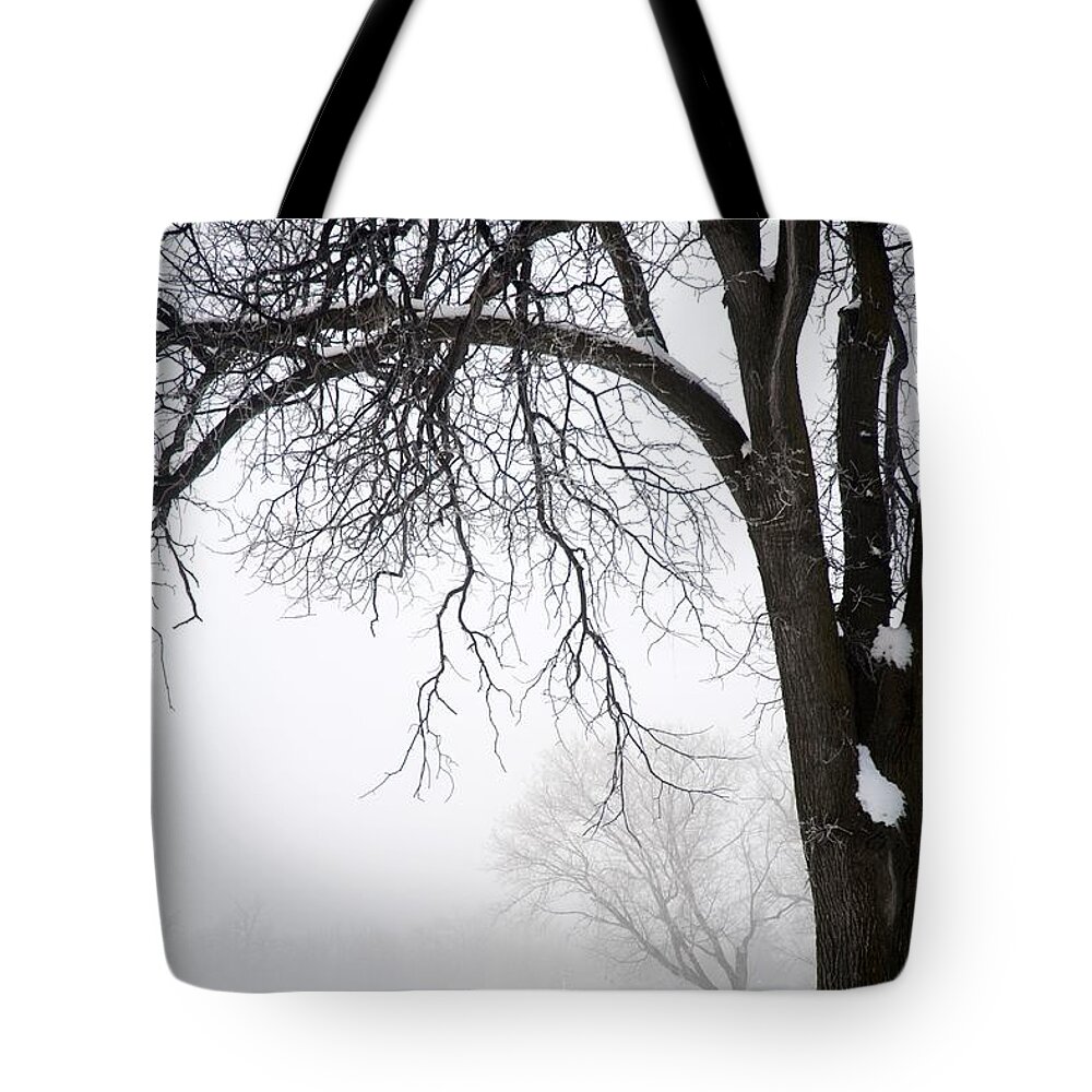 Bare Tote Bag featuring the photograph Assiniboine Park, Winnipeg, Manitoba #5 by Keith Levit