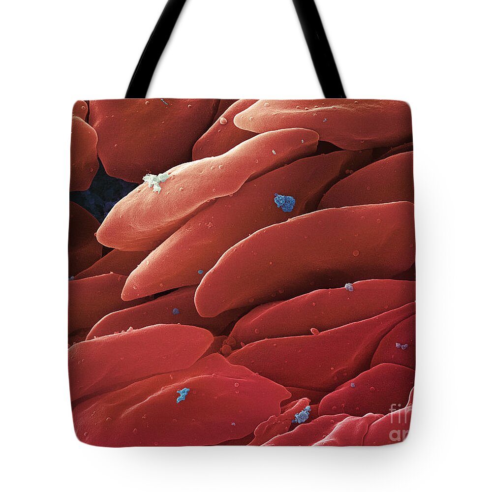 Science Tote Bag featuring the photograph Blood Platelets, Sem #5 by Ted Kinsman