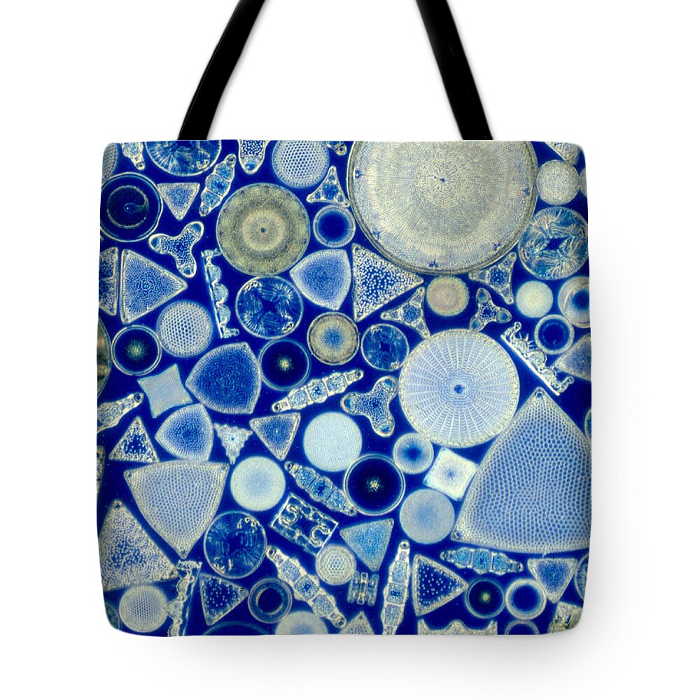 Diatom Tote Bag featuring the photograph Diatoms by M. I. Walker