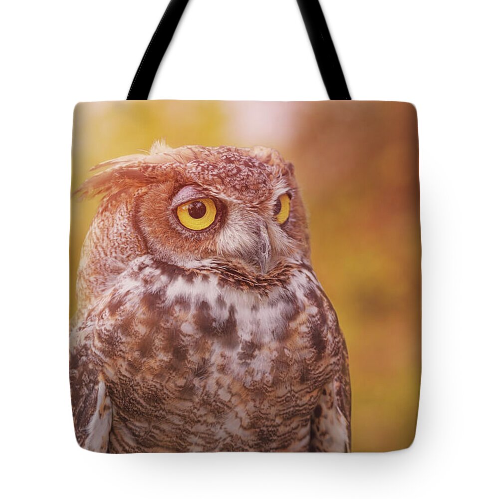 Animal Tote Bag featuring the photograph Great Horned Owl #5 by Brian Cross