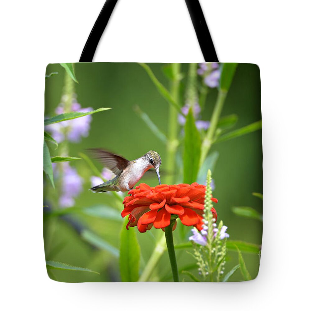 Humming Bird Tote Bag featuring the photograph Humming Bird #5 by Lila Fisher-Wenzel