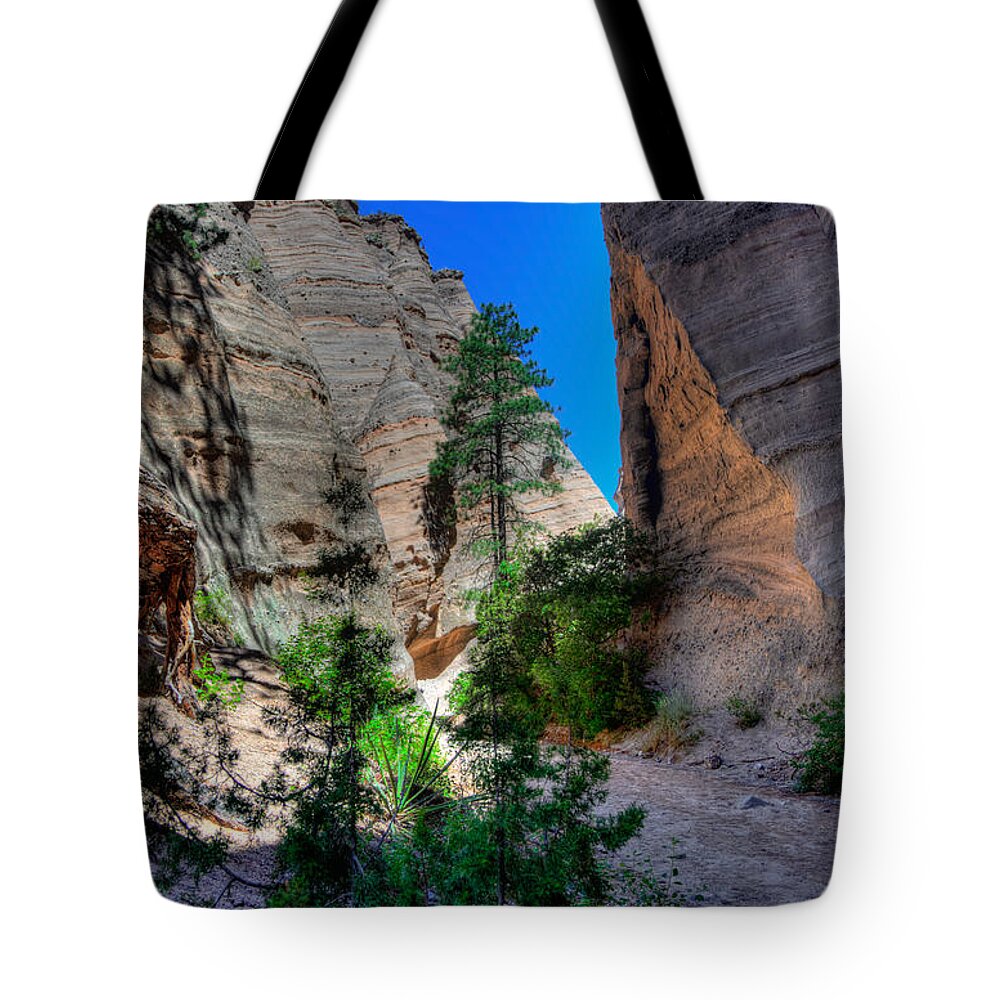 New Mexico Tote Bag featuring the photograph New Mexico 15 #1 by David Henningsen