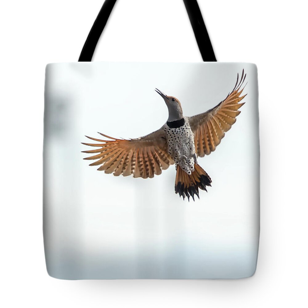 Gilded Tote Bag featuring the photograph Gilded Flicker by Tam Ryan