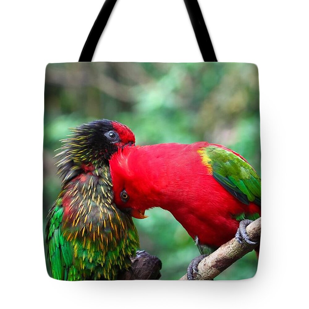 Parrot Tote Bag featuring the photograph Parrot #5 by Jackie Russo