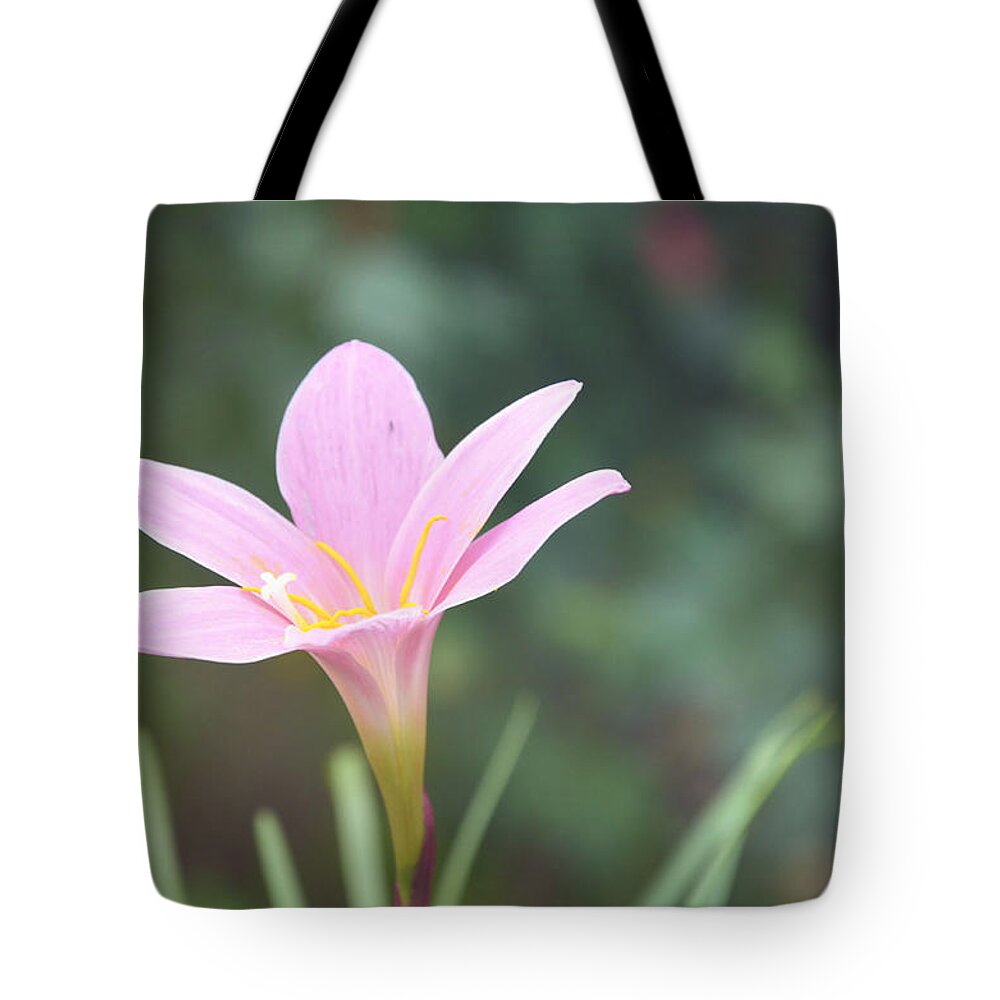 Pink Tote Bag featuring the photograph Pink Flower #5 by Gordana Stanisic