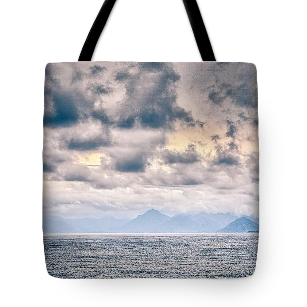 Sea Tote Bag featuring the photograph Port Of Seattle And Piers And Surroundings On Sunny Day #5 by Alex Grichenko