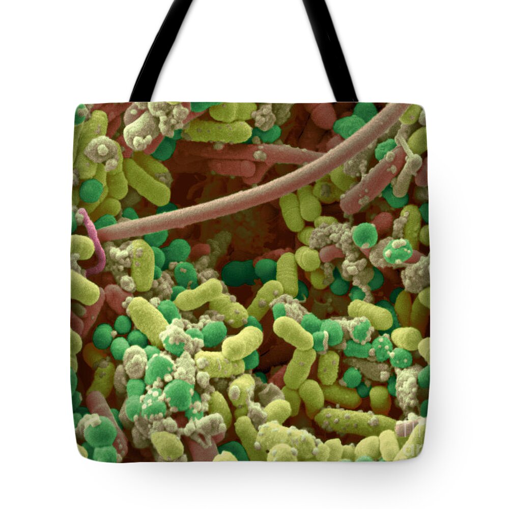 Cocci Tote Bag featuring the photograph Streptococcus Pyogenes #5 by Scimat