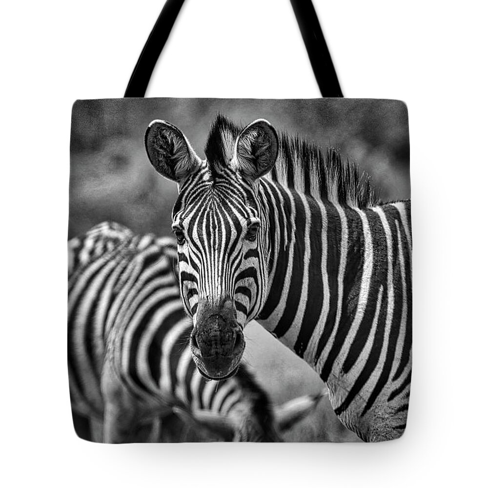 Swaziland Tote Bag featuring the photograph Swaziland by Paul James Bannerman