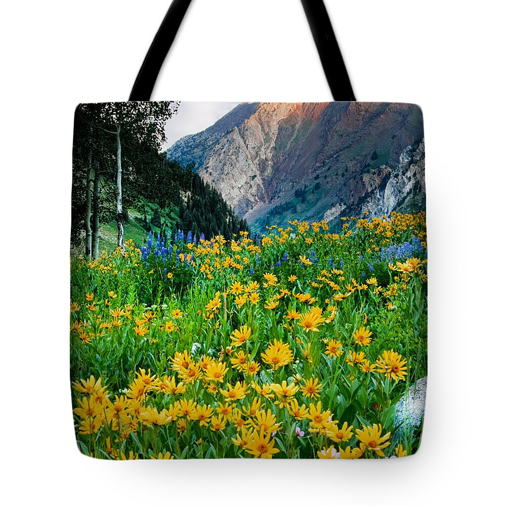 Little Cottonwood Canyon Tote Bag featuring the photograph Wasatch Mountains #5 by Douglas Pulsipher