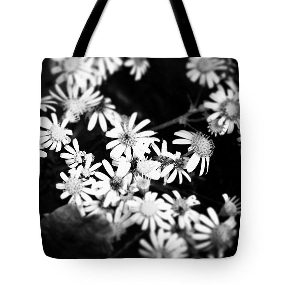 Beautiful Tote Bag featuring the photograph Instagram Photo by Jason Roust