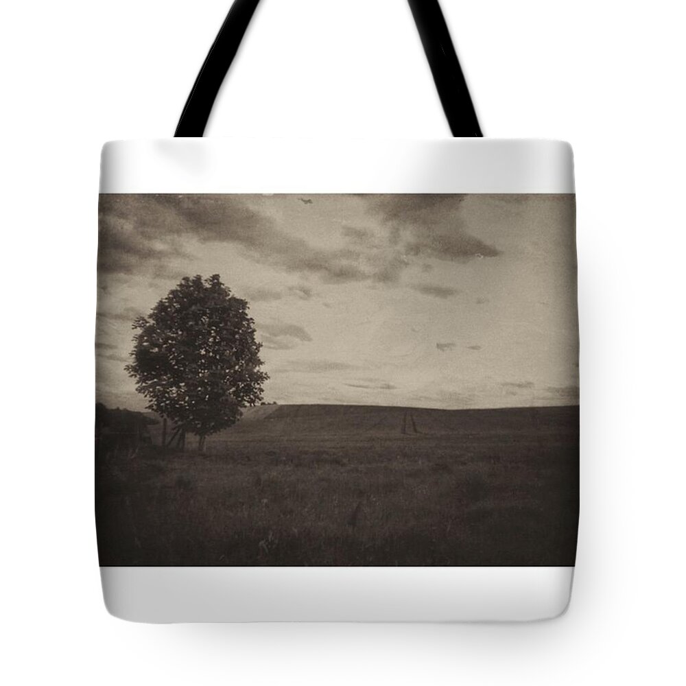 Lumia1520 Tote Bag featuring the photograph Instagram Photo #511440418042 by Mandy Tabatt