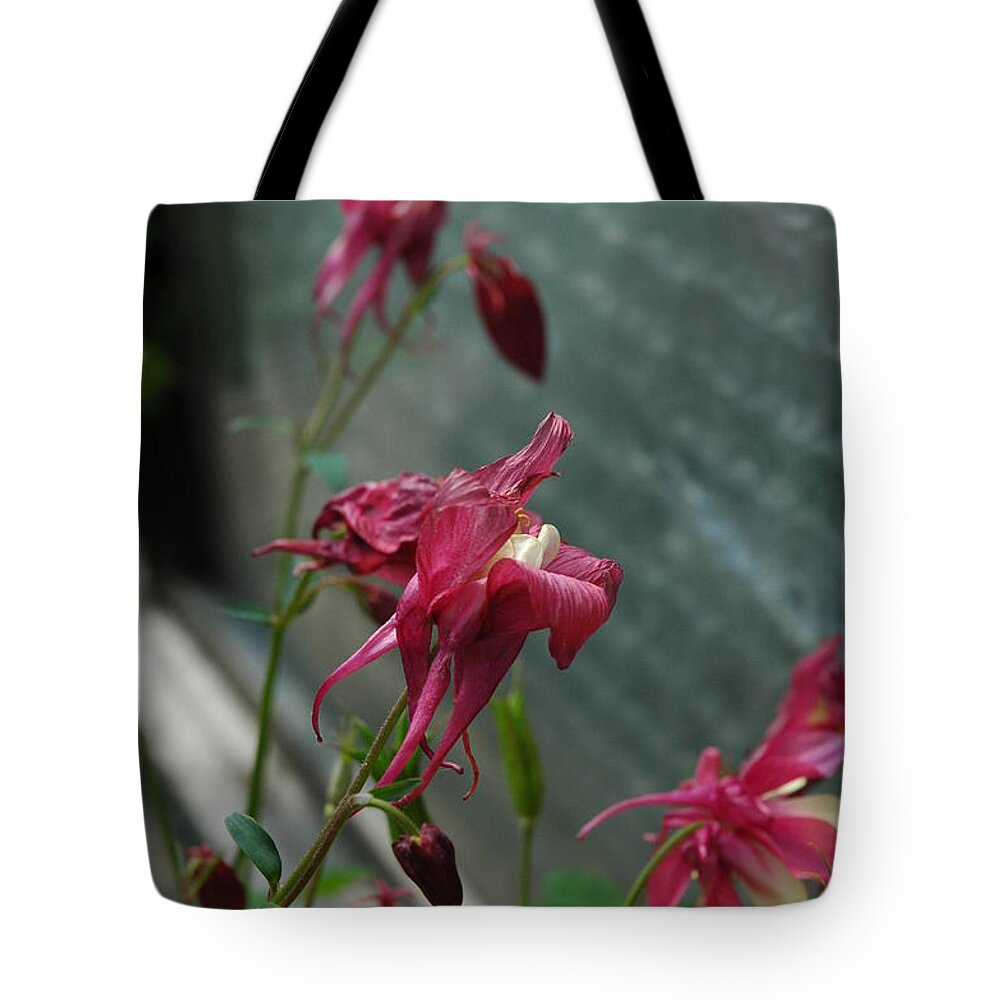 Flower Tote Bag featuring the photograph Flower #58 by Mariel Mcmeeking