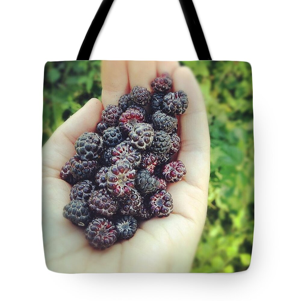 Black Raspberry Tote Bag featuring the photograph A handful by Salamander Woods Studio-Homestead