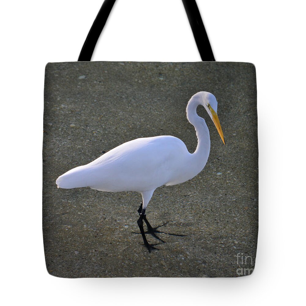 Great Egret Tote Bag featuring the photograph 59- Great Egret by Joseph Keane