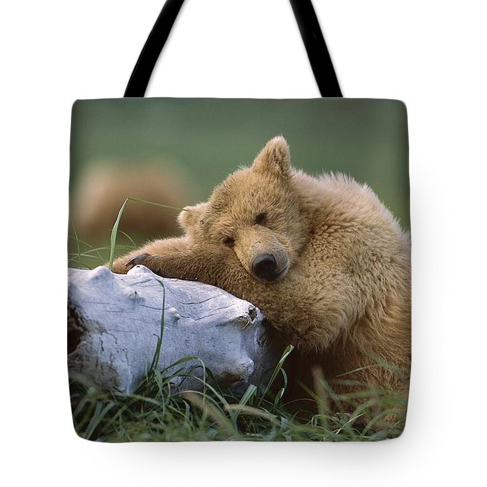 Bear Tote Bag featuring the photograph Bear #6 by Mariel Mcmeeking