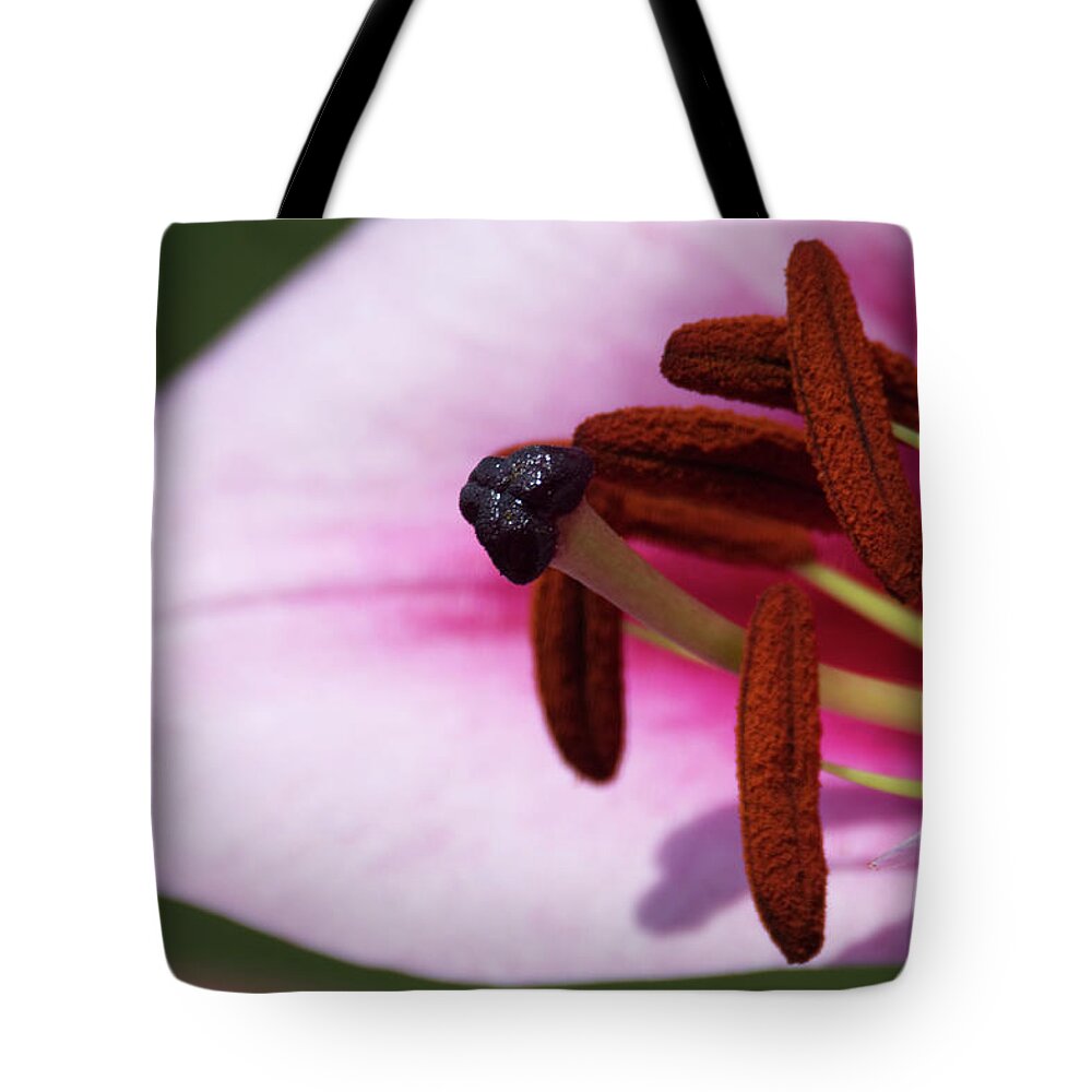 Lily Tote Bag featuring the photograph Blueberry Crush Lily #6 by Chris Day