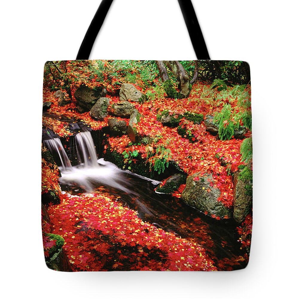 Fall Tote Bag featuring the photograph Fall #6 by Jackie Russo