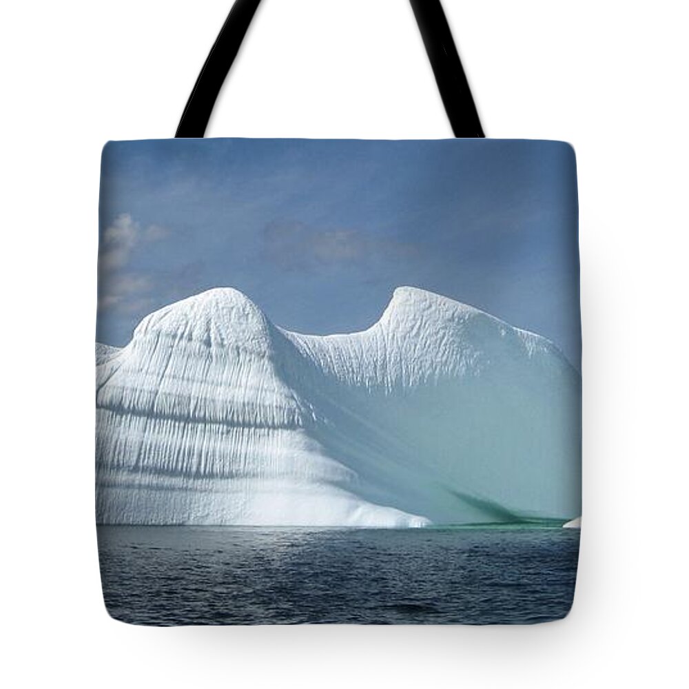 Newfoundland Tote Bags | Fine Art America