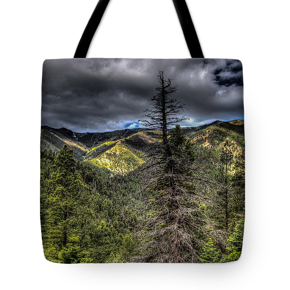New Mexico Tote Bag featuring the photograph New Mexico 14 #1 by David Henningsen