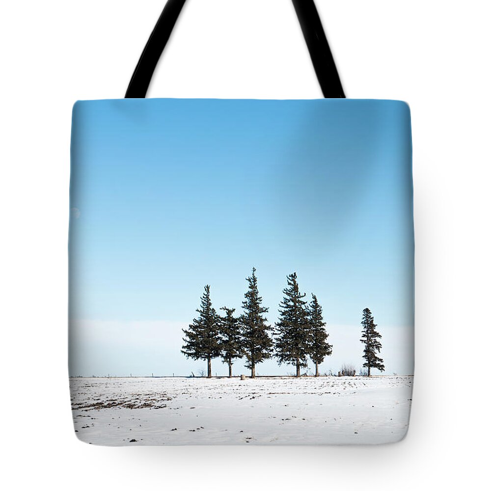 Pines Tote Bag featuring the photograph 6 Pines And The Moon by Troy Stapek