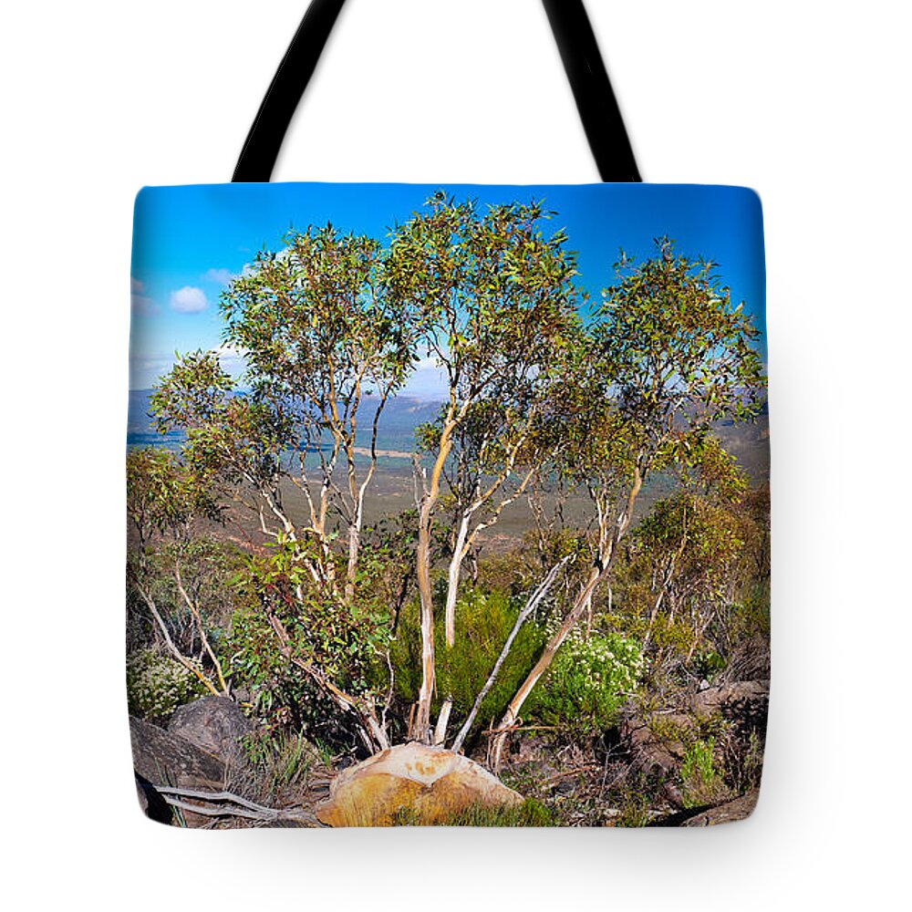 Wilpena Pound Flinders Ranges Outback Landscape Landscapes South Australia Australian Gum Tree Panorama Pano Tote Bag featuring the photograph Wilpena Pound #6 by Bill Robinson